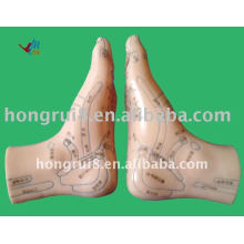 HR-515B Akupunktur Fuß Modell12CM, Akupunktur Fuß